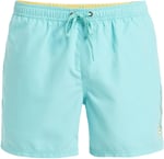 Quiksilver Spl Fineline Volley 15 Sörf Mayosu Erkekler