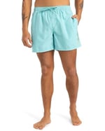 Quiksilver Spl Fineline Volley 15 Sörf Mayosu Erkekler