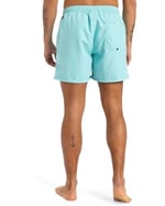 Quiksilver Spl Fineline Volley 15 Sörf Mayosu Erkekler