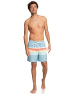 Quiksilver Surfsilk Air-brush Volley 17nb sörf şortu Erkek