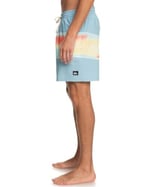 Quiksilver Surfsilk Air-brush Volley 17nb sörf şortu Erkek