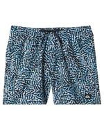 Quiksilver Surfsilk Mix Volley 16 Klasik şort Erkek