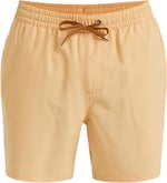 Quiksilver Surfsilk Solid Volley 16 Jam/Volley Erkekler