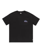 Quiksilver Take Us Back Logo Tişört Erkek