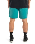 Quiksilver Taxer WS - Şort - Taxer WS - Erkek