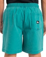 Quiksilver Taxer WS - Şort - Taxer WS - Erkek