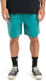 Quiksilver Taxer WS - Şort - Taxer WS - Erkek