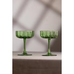 Rakle Botanical 2'li Cup Dondurmalık Seti Yeşil 210 Cc