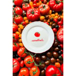 Rakle Pomodoro Stoneware 4'lü Meze Tabağı Seti 21 Cm