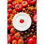 Rakle Pomodoro Stoneware 4'lü Pasta Tabağı Seti 21 Cm