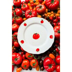 Rakle Pomodoro Stoneware 4'lü Servis Tabağı Seti 28 Cm