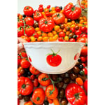 Rakle Pomodoro Stoneware Salata Kasesi 25 Cm