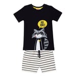Rakun Erkek Çocuk T-shirt Şort Takım