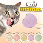 Ranova Kediler için Karışık Lezzetli Lolipop *1.4g 5'li