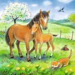 Ravensburger 3×49 Parça “Sarılma Zamanı” Puzzle