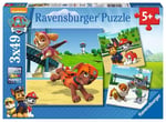 Ravensburger 3 X 49 Parça Yapboz P Parçatakım (92390)
