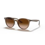 RAY-BAN 4305 616613 53 Kadın Güneş Gözlüğü