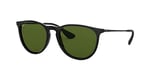 Ray-Ban Erika RB4171 C54