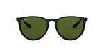 Ray-Ban Erika RB4171 C54