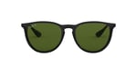 Ray-Ban Erika RB4171 C54