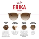 Ray-Ban Erika RB4171 C54