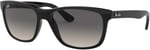 Ray-Ban Erkek RB4181 Kare Güneş Gözlüğü