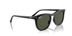 Ray-Ban RB 2210 901/31 53 Güneş Gözlüğü