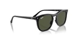 Ray-Ban RB 2210 901/31 53 Güneş Gözlüğü