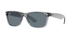 Ray-Ban RB2132 Yeni Wayfarer Polarize Güneş Gözlüğü
