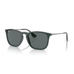 Ray-Ban Rb4187 Chris Square Güneş Gözlüğü