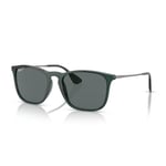 Ray-Ban Rb4187 Chris Square Güneş Gözlüğü