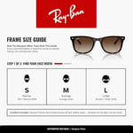 Ray-Ban Rb4420 Kare Güneş Gözlüğü
