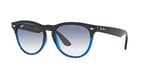 Ray-Ban Rb4471 Iris Yuvarlak Güneş Gözlüğü