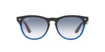 Ray-Ban Rb4471 Iris Yuvarlak Güneş Gözlüğü