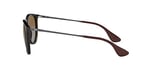 Ray-Ban Üniseks Erika Güneş Gözlüğü, M
