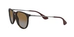 Ray-Ban Üniseks Erika Güneş Gözlüğü, M
