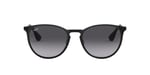 Ray-Ban Üniseks Erika Metal Güneş Gözlüğü