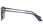 Ray-Ban Unisex Çocuk Güneş Gözlükleri 0RJ JUNIOR ERIKA METAL 252/2Y 50, Kahverengi,