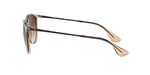 Ray-Ban Unisex güneş gözlüğü