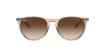 Ray-Ban Unisex güneş gözlüğü
