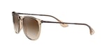 Ray-Ban Unisex güneş gözlüğü