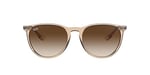 Ray-Ban Unisex güneş gözlüğü
