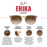 Ray-Ban Unisex güneş gözlüğü