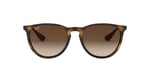 Ray-Ban Unisex Güneş Gözlüğü.