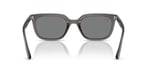 Ray-Ban Unisex Rb4439d Kare Güneş Gözlüğü