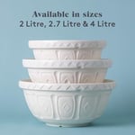 Rayware Mason Cash S12 karıştırma kabı, 29 cm