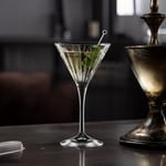RCR Timeless Yüksek Kalite Cam 6'lı Martini Bardağı 210 ml