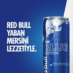 Red Bull Enerji İçeceği, Yaban Mersini, 250 ml