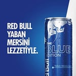 Red Bull Enerji İçeceği, Yaban Mersini, 250 ml