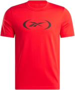 Reebok Erkek basketbol tişörtü